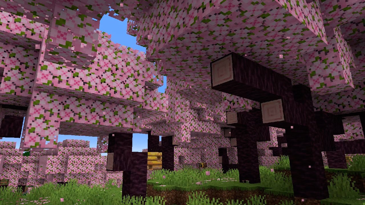 Wie man Kirschblüten in Minecraft früh bekommt