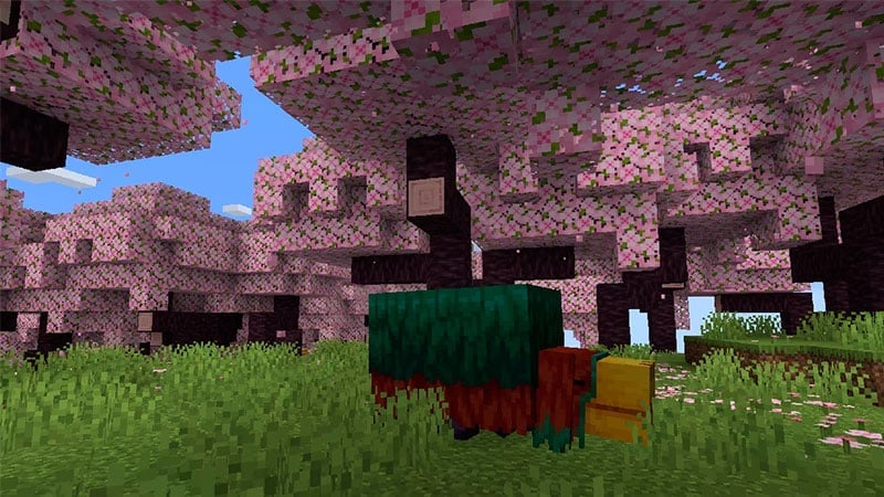 Hvordan få kirsebærblomster i Minecraft tidlig