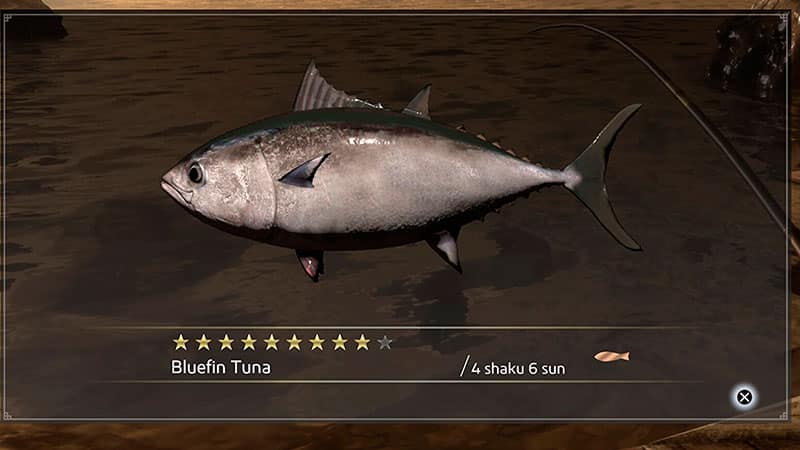 Where to Find and Catch Tuna in Like a Dragon: Ishin