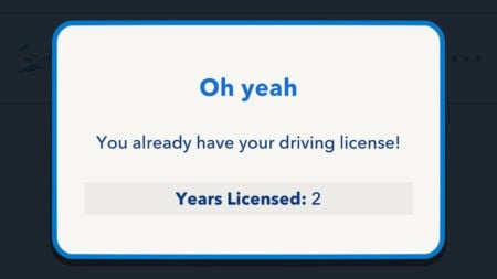 BitLife Driving Test Answers