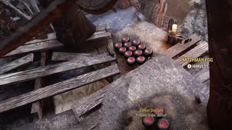 Fallout 76: How to Get Mothman Eggs
