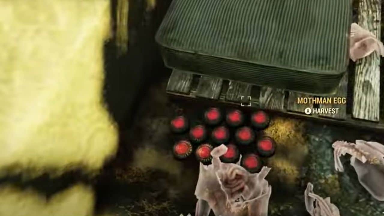 Fallout 76: How to Get Mothman Eggs