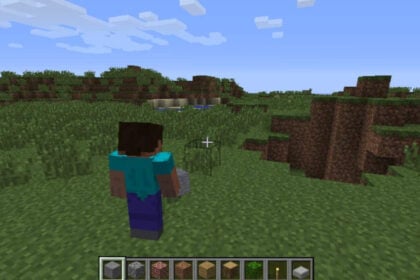 The main character in Minecraft, as seen in third-person mode