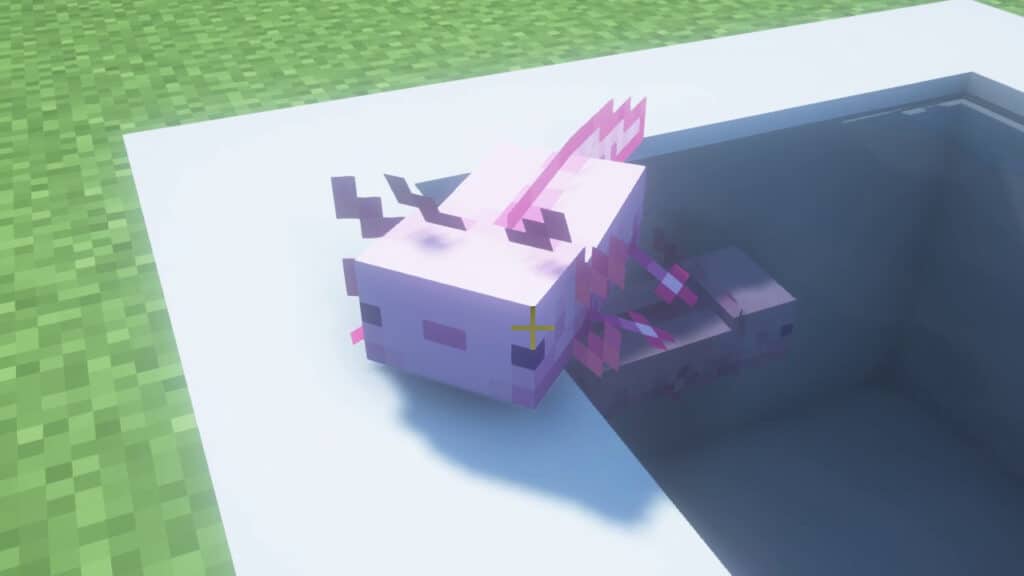 Pink Axolotls in Minecraft