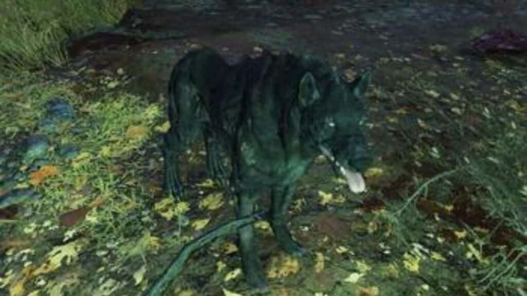 Where to Find Wolves in Fallout 76