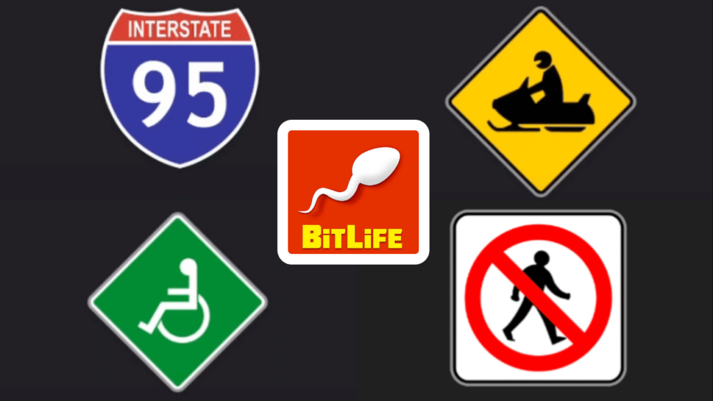all-driving-test-answers-in-bitlife