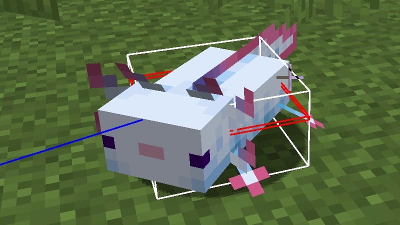axolotl hitbox toggle for Minecraft Java
