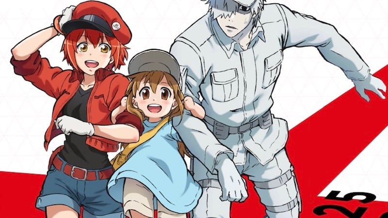 Cells at Work White Blood Cell Anime HD 4K Wallpaper #5.3021-demhanvico.com.vn