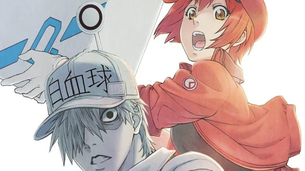 Who is your favorite character in the anime series 'Cells at Work'? - Quora