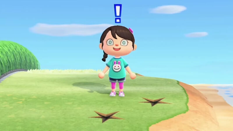 Animal Crossing New Horizons: How To Get Poki