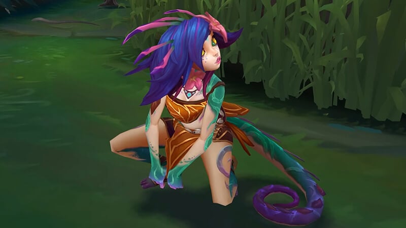 Neeko  Celebrity 