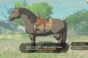 How To Get and Use the Towing Harness in Zelda Tears of the Kingdom