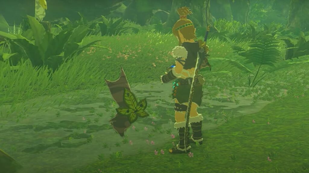 How To Complete Whirly Swirly Things in Zelda Tears of the Kingdom