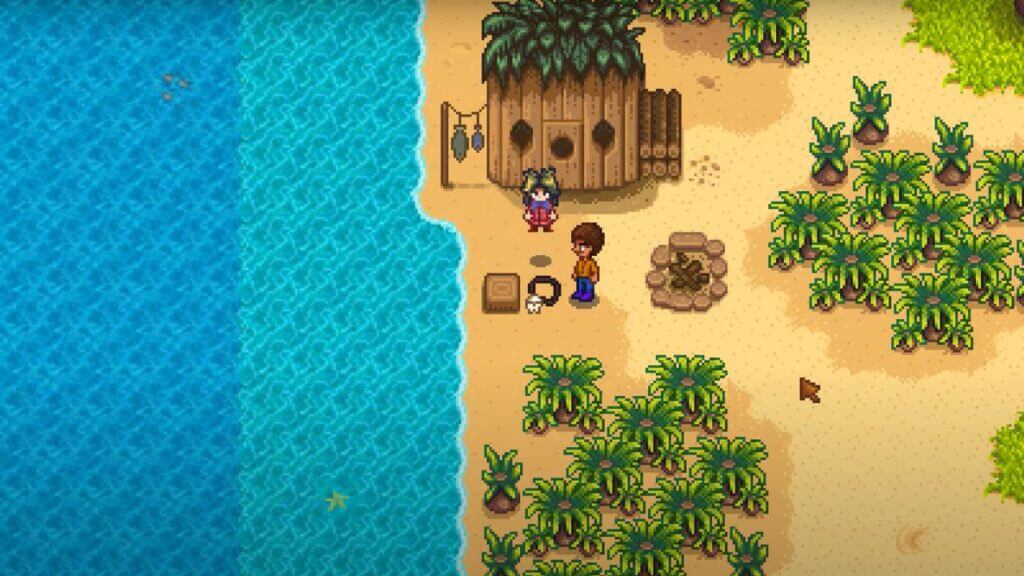 How To Complete the Pirate’s Wife in Stardew Valley