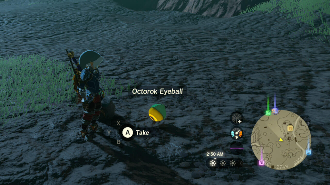 How To Get Octorok Eyeballs in Zelda Tears of the Kingdom Feature Image