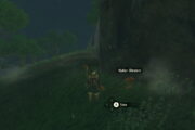 How To Get Hylian Shrooms in Zelda Tears of the Kingdom