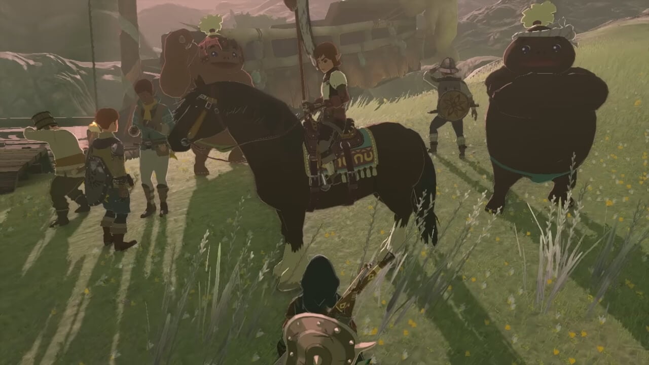 Zelda Tears of the Kingdom How to get and use Pony Points