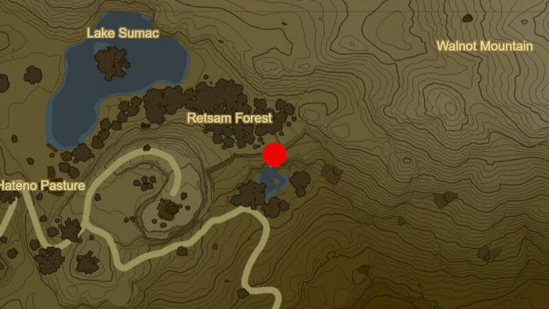 How to get the Barbarian Armor in Zelda: Tears of the Kingdom Map Location