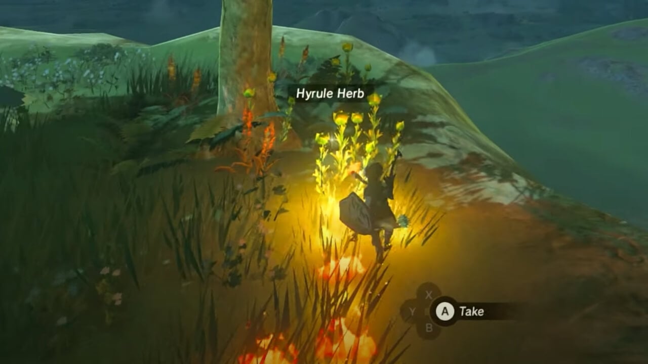 Hyrule Herbs in Zelda Tears of the Kingdom.