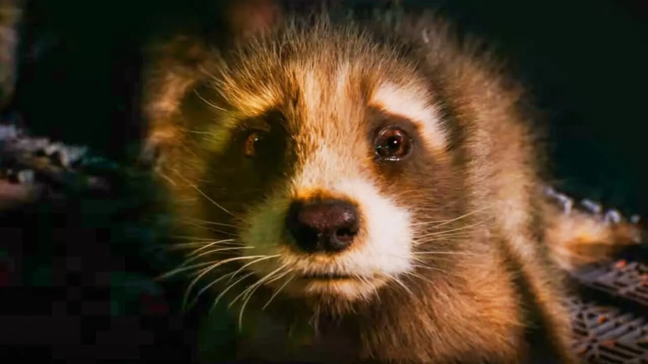James Gunn test footage baby Rocket Raccoon