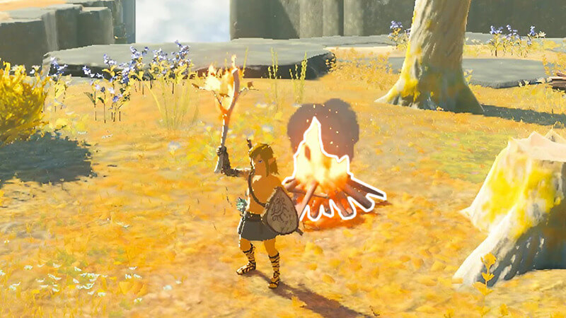 Using a Campfire to Pass Time in Zelda Tears of the Kingdom