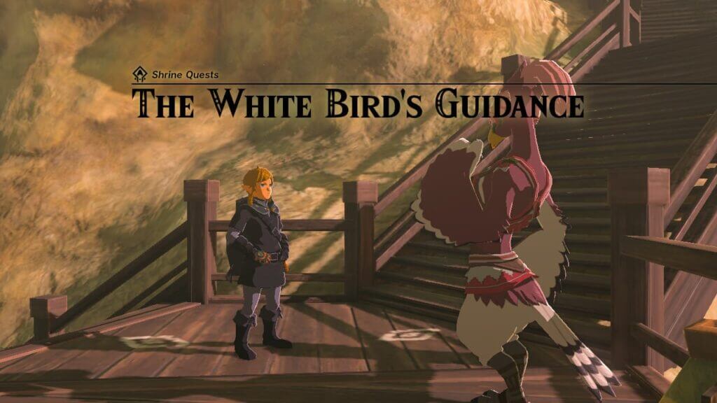 White Bird's Guidance