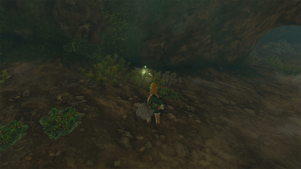 An image of a few Brightbloom Seeds in Zelda Tears of the Kingdom.
