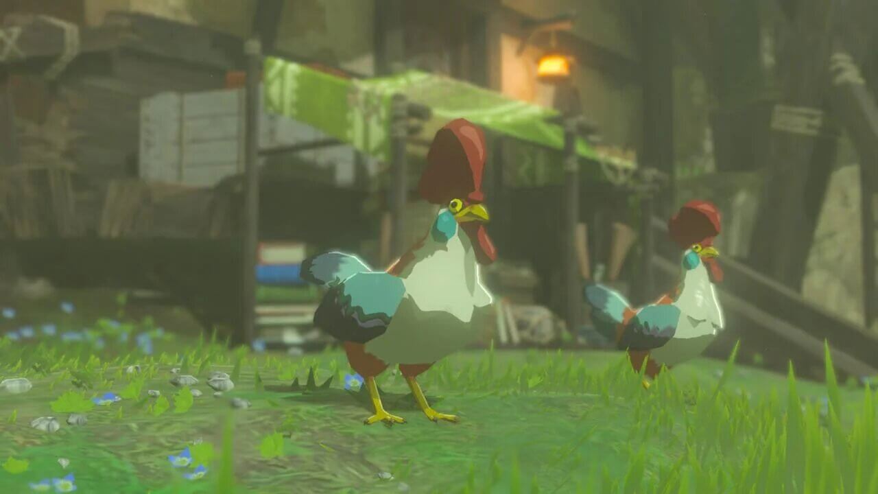 The Cucco is probably the easiest animal to get a picture of, besides your horse.