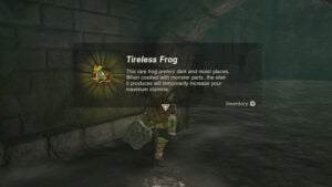 How to Make Elixirs in Zelda Tears of the Kingdom