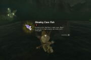 How To Get Glowing Cave Fish in Zelda Tears of the Kingdom