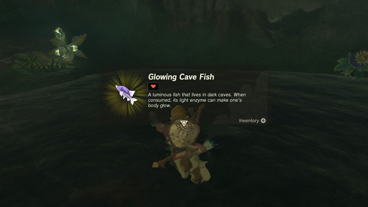 Glowing Cave Fish in Zelda: Tears of the Kingdom