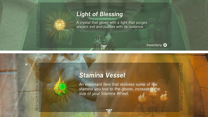 heart container or stamina vessel in Zelda Tears of the Kingdom