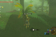 How To Get Mighty Bananas in Zelda Tears of the Kingdom