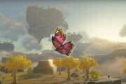 How To Get Summerwing Butterflies in Zelda Tears of the Kingdom