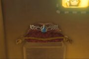 How To Get the Sapphire Circlet in Zelda Tears of the Kingdom