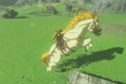 Where to FInd All Unique Horses in Zelda Tears of the Kingdom