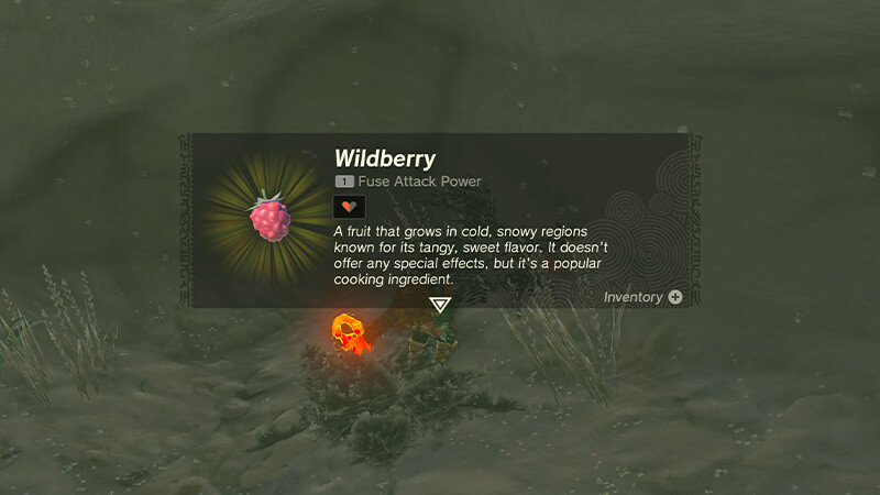 How To Get Wildberries in Zelda Tears of the Kingdom