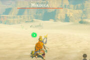 How To Get Molduga Jaw in Zelda Tears of the Kingdom