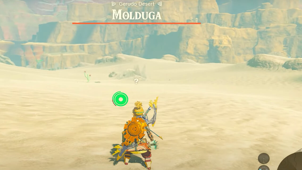 How to Get Molduga Jaw in Zelda Tears of the Kingdom