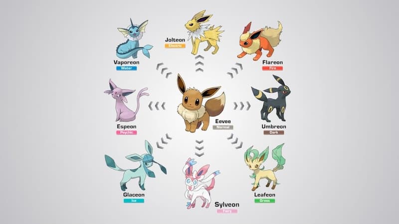 Other neat ideas  Pokemon eevee evolutions, Eevee, Pokemon eevee