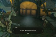 How To Complete The Horse Guard's Request in Zelda Tears of the Kingdom