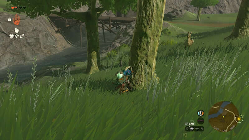 Horse Guard's Request in Zelda Tears of the Kingdom TOTK Deer Location