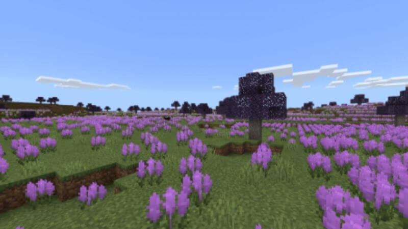 Minecraft Bedrock Mods: Extension De Biomes Expansifs