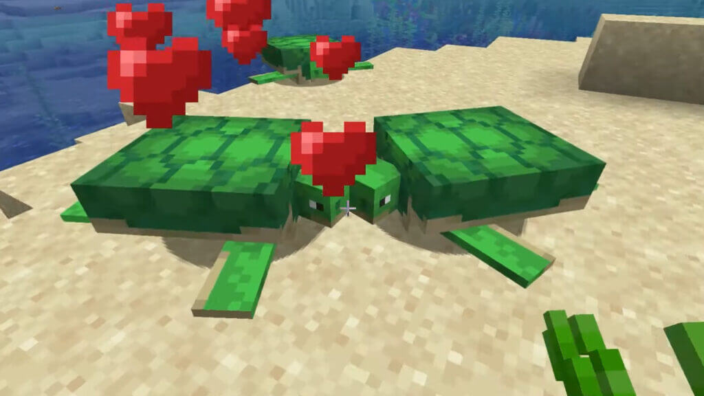 How To Breed Turtles in Minecraft