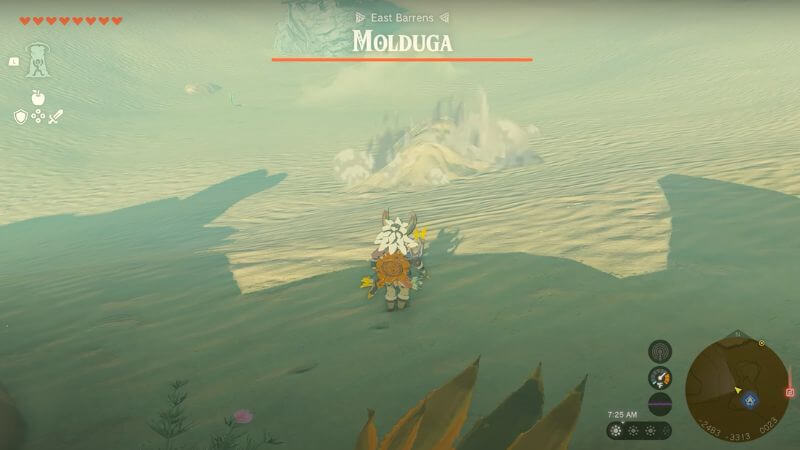 Molduga in Zelda Tears of the Kingdom