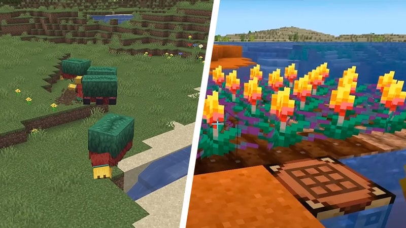 Renifleur Et Torchflowers Dans Minecraft 1.20