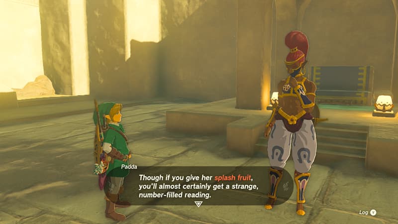 The Gerudo to talk to for Sealcret Numbers from Patricia in Tears of the Kingdom