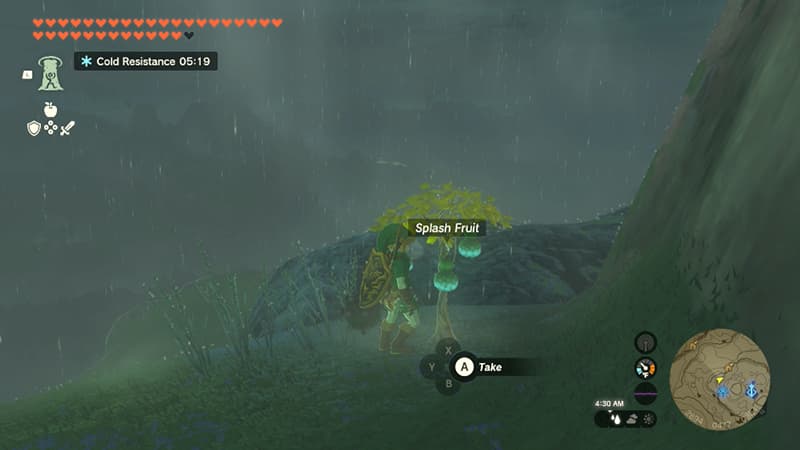 How to find Splash Fruit for the Sludge Covered Statue in Tears of the Kingdom.
