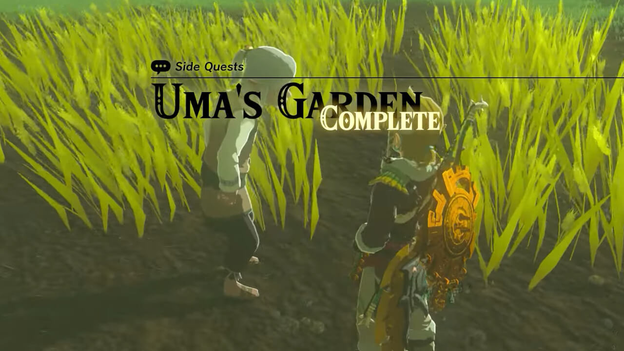 Uma's Garden in Tears of the Kingdom