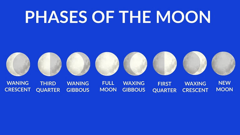 Moon Cycles in Blox Fruits Explained | The Nerd Stash